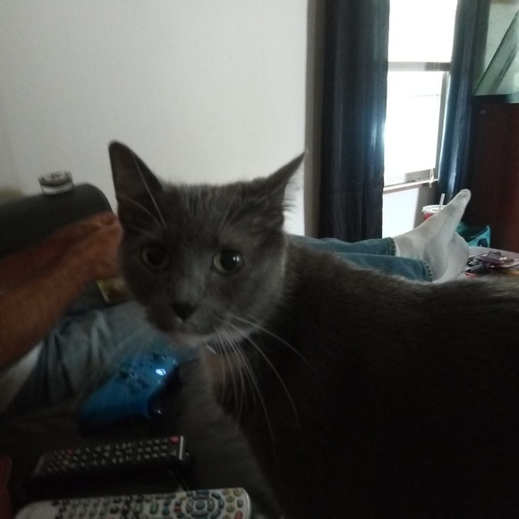 Meet your Posher, Sherry - Picture 1 of 1